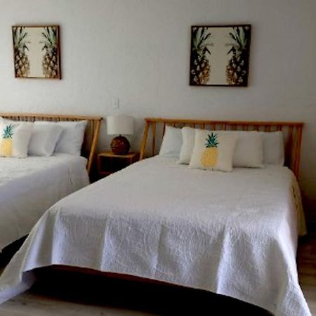 Pineapple Shores Inn Unit 1 Daytona Beach Eksteriør bilde
